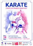Affiche-COUPE-DE-FRANCE-WADO-RYU-18-Fe_vrier-2023-converted-724x1024